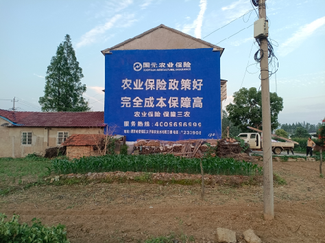 夏邑墙体广告为何受追捧?